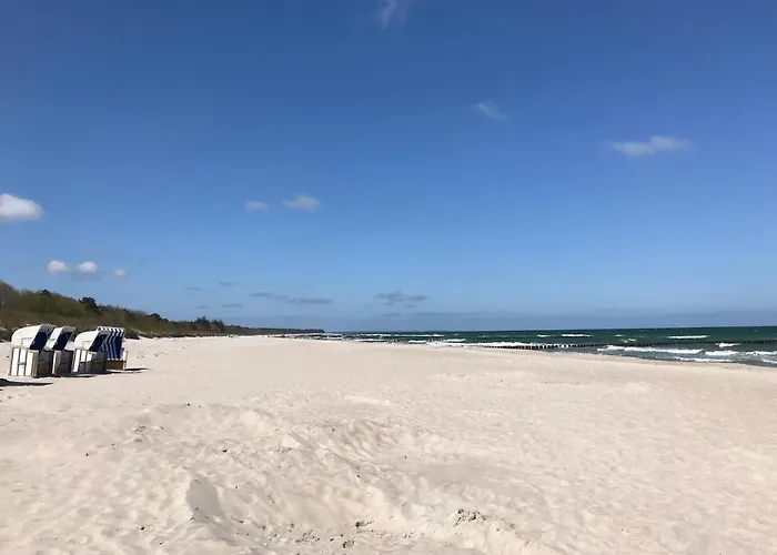 Bernsteinsuite 프레로